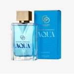 ادوپرفیوم مردانه میستر جوردانی آکوا Mister Giordani Aqua Eau de Parfum