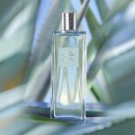 Men's Collection Agave Power Eau De Toilette - Image 2